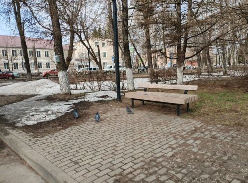В Бугульме 3 апреля переменная облачность