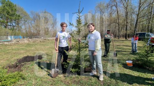 Бугульма присоединилась к Международной акции «Сад памяти»