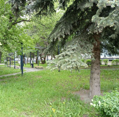 В Бугульме 26 мая переменная облачность