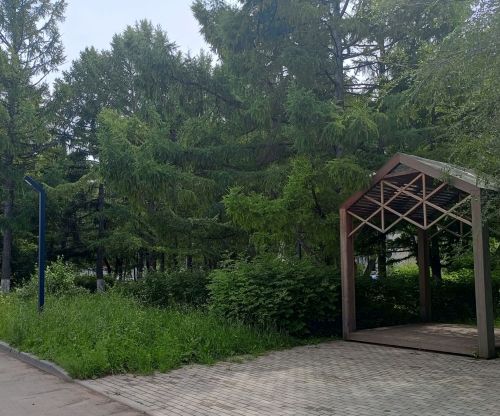 В Бугульме 22 июня значительная облачность