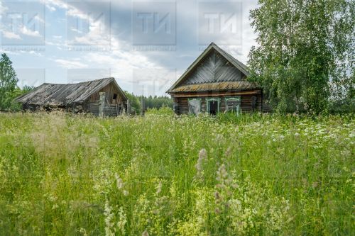 Неиспользование участков: критерии определения