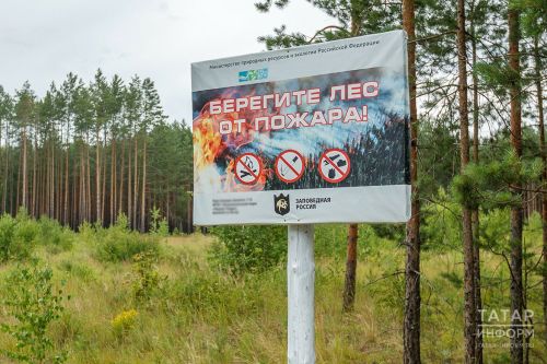 Бугульминцам запретили посещать леса
