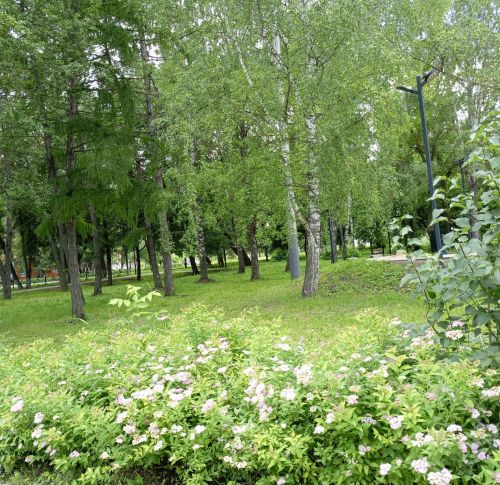 В Бугульме 1 июля облачно с прояснениями