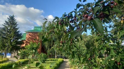 В воскресенье в Бугульме ожидается жаркая и ясная погода