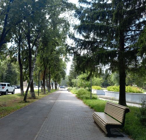В Бугульме 9 августа переменная облачность