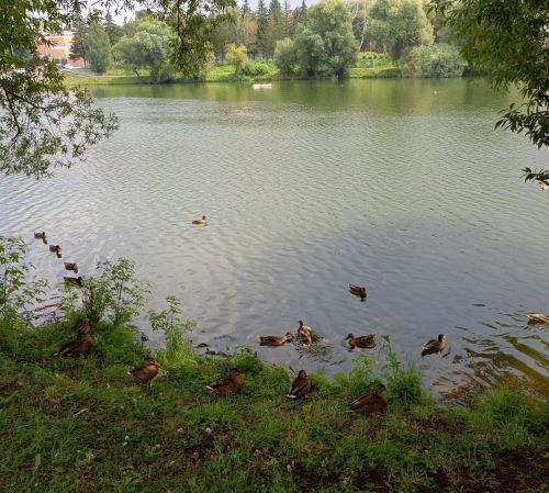 Погода в Бугульме 4 сентября