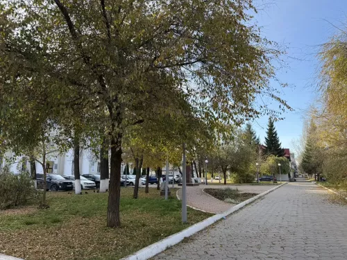 11 градусов тепла ожидается в Бугульме 26 октября