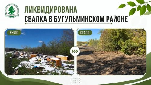 Свалку площадью 1500 кв. м ликвидировали в Бугульминском районе