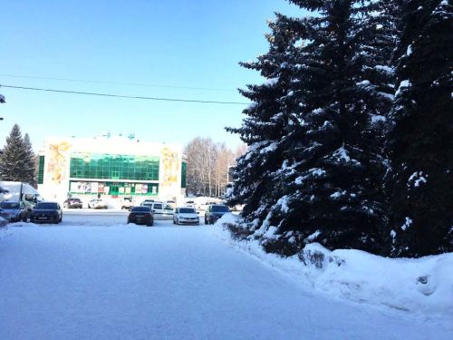 Слабый снег в течение всего дня ожидается в Бугульме 16 февраля