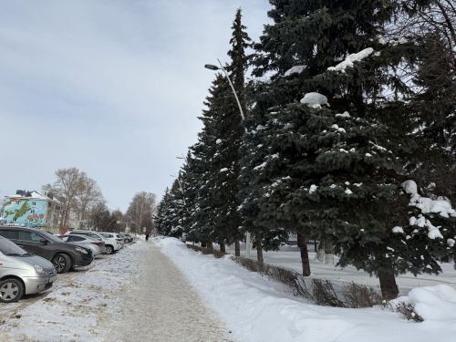 2 марта в Бугульме ожидается снег и туман