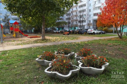 Разведение огорода во дворе многоквартирного дома грозит штрафом