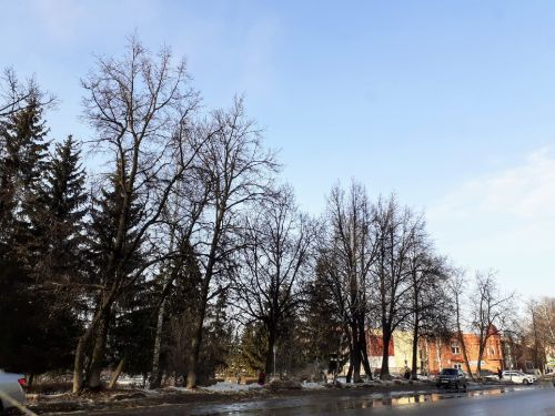 Прогноз погоды в Бугульме на 28 марта
