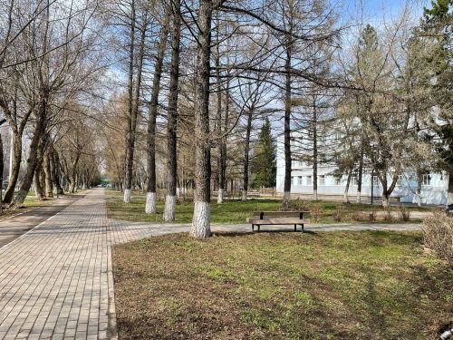 Небольшой дождь прогнозируют синоптики в Бугульме 14 апреля