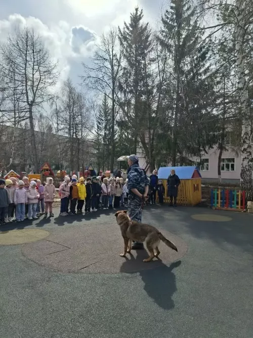 Кинолог и служебная собака научили бугульминских дошкольников безопасному поведению при встрече с бродячими животными