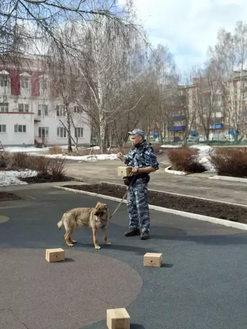 Кинолог и служебная собака научили бугульминских дошкольников безопасному поведению при встрече с бродячими животными