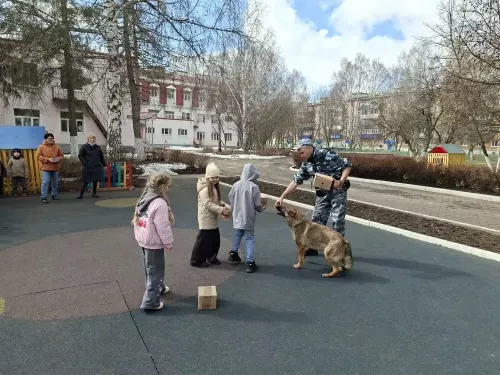 Кинолог и служебная собака научили бугульминских дошкольников безопасному поведению при встрече с бродячими животными