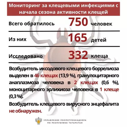 В Бугульминском районе зарегистрировано 65 случаев укусов клещей