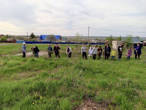 В Бугульминском районе провели экологическую акцию «День посадки леса»