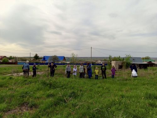 В Бугульминском районе провели экологическую акцию «День посадки леса»