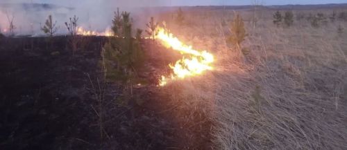 В Бугульме горел мусор на обочине дороги: огонь перекинулся на сухую растительность