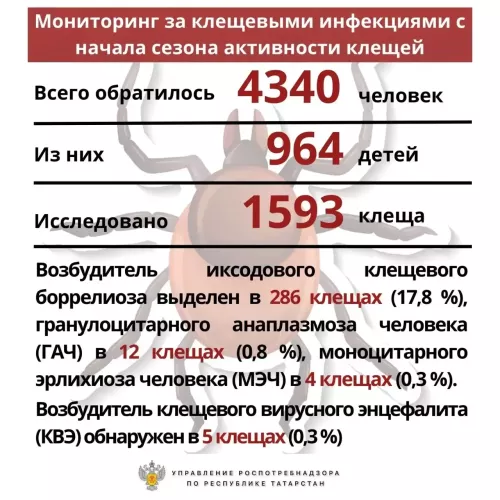Санитарная служба информирует: мониторинг клещевой активности в Бугульминском районе
