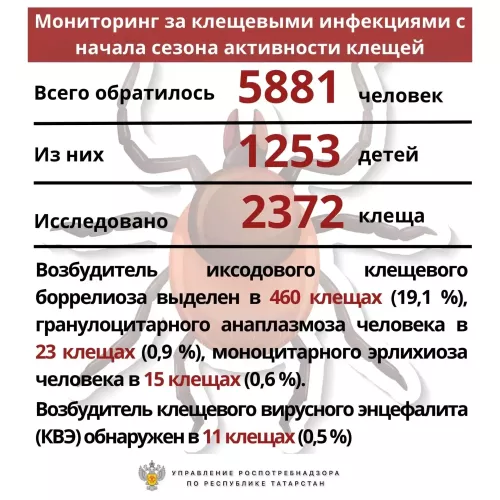 Бугульминский район Татарстана — в числе лидеров по числу укусов клещей в Татарстане