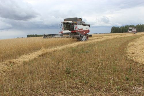 В Бугульминском районе стартовала уборочная кампания