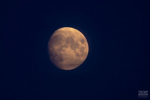 Раки могут заняться творчеством, Весы – укрепить деловые связи