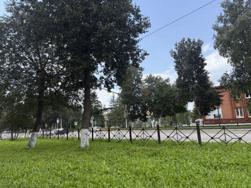 Облачно с прояснениями будет в Бугульме 23 августа