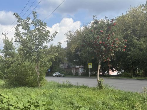 Синоптики прогнозируют переменную облачность в Бугульме 22 августа