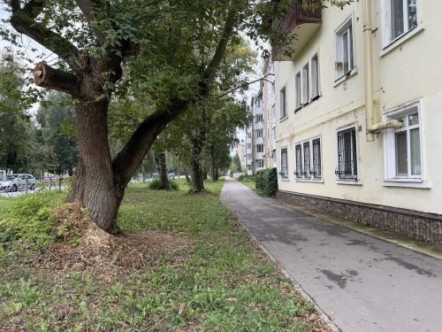 Синоптики обещают облачную погоду в Бугульме 12 сентября