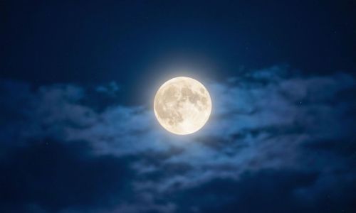 Близнецам нужно сосредоточиться на целях, а Львам держать эмоции под контролем