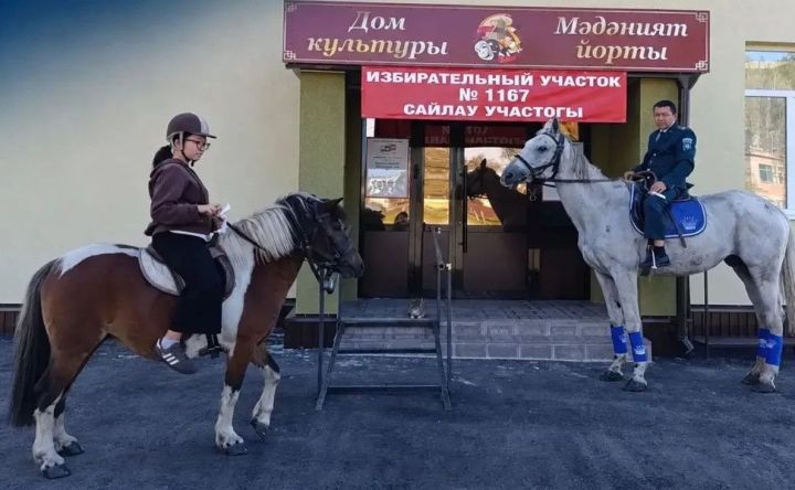 Семья из Бугульминского района приехала на выборы на коне