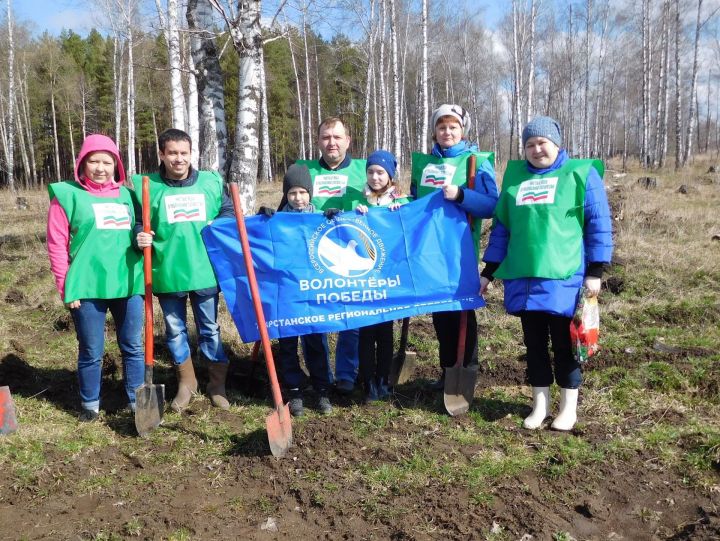 Бугульминские добровольцы и учащиеся прогимназии посадили деревья Победы