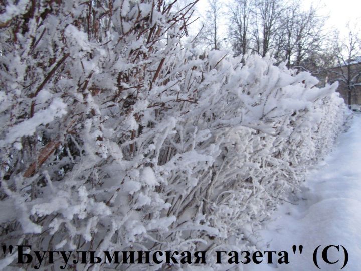 Московские морозы доберутся до Татарстана