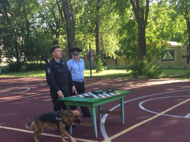 Полицейские показали бугульминцам свой арсенал и служебную собаку
