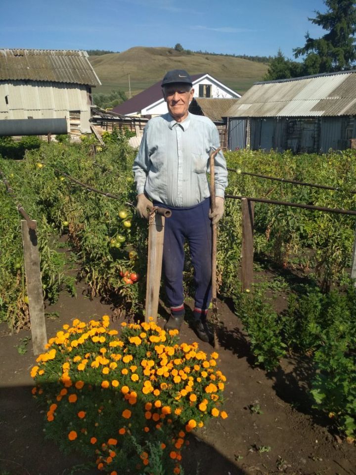 Бугульминский пенсионер выращивает арбузы