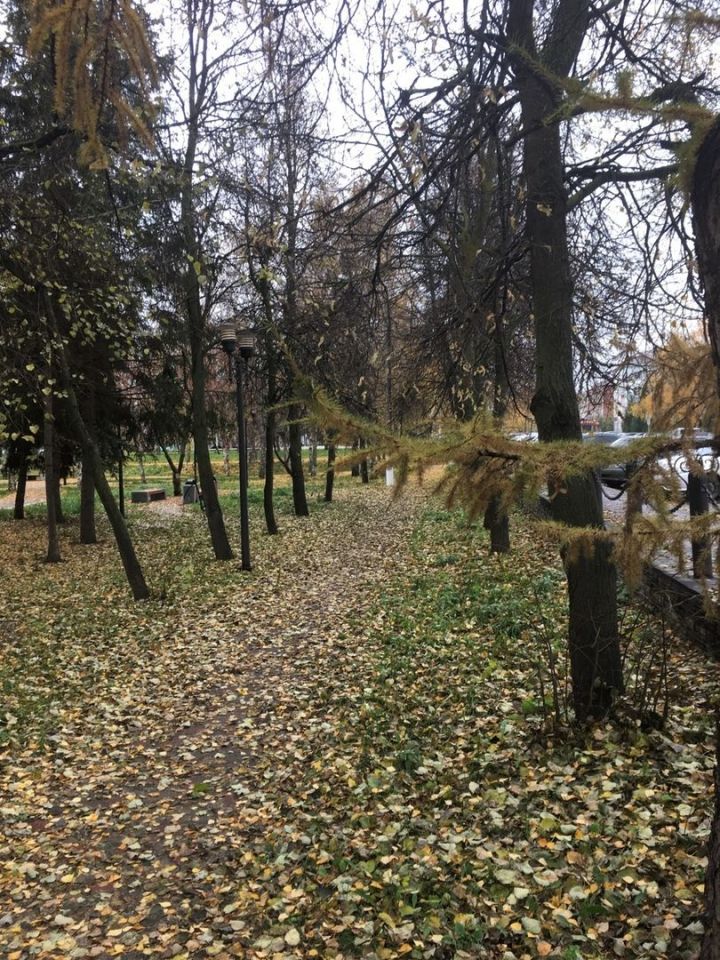 После прохладных выходных в Татарстане снова потеплеет