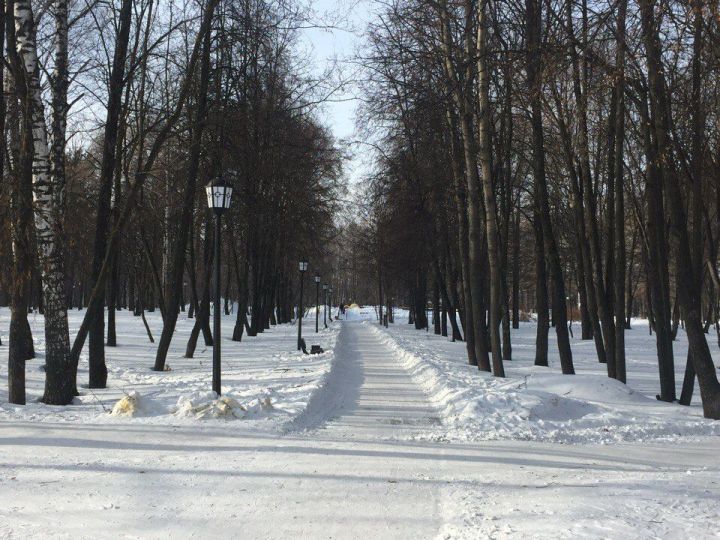 Погода в Бугульме 2 декабря, в понедельник