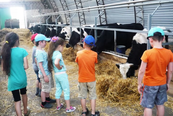 Бугульминцы посетили с экскурсией семейную ферму, где им рассказали о премудростях животноводства