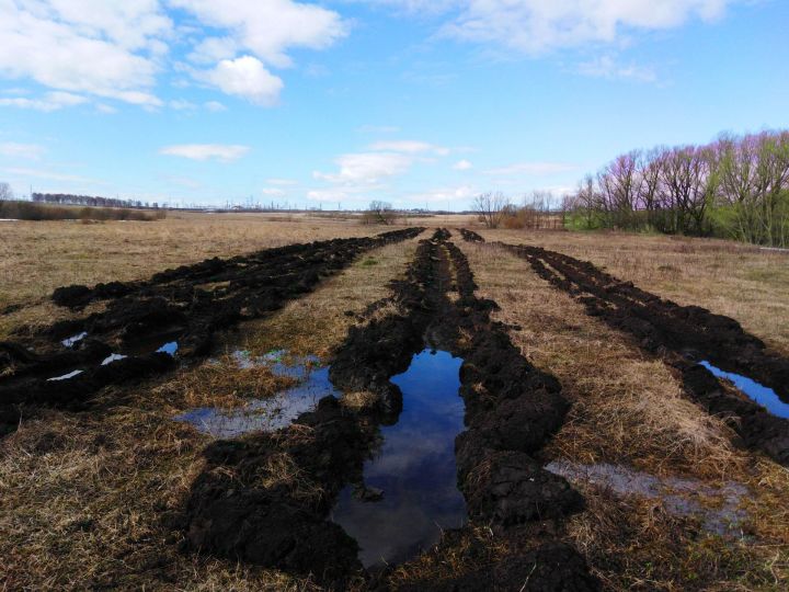 Бугульминский лесхоз одним из первых в Татарстане начал готовить почву под лесные культуры 2020 года