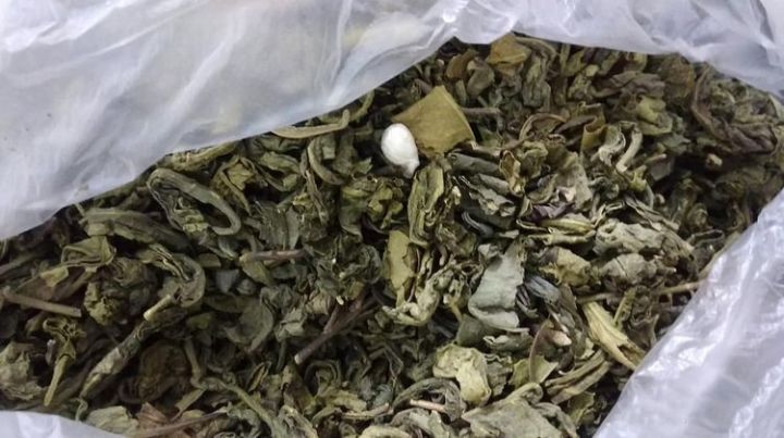 Розыскная собака нашла наркотики, спрятанные в передаче с чаем осужденному