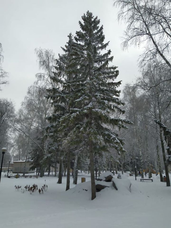 Погода в Бугульме 2 февраля