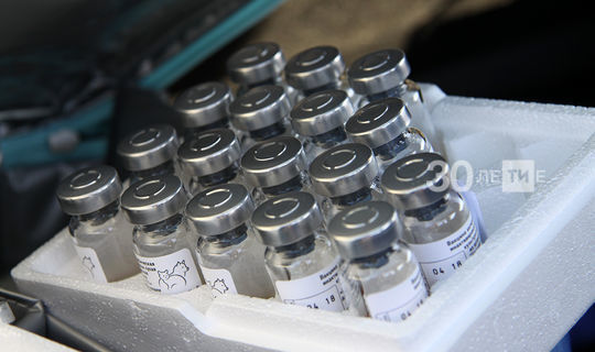 Вирусолог Альберт Ризванов: вакцинация пойдет на пользу даже тем, кто уже переболел коронавирусом