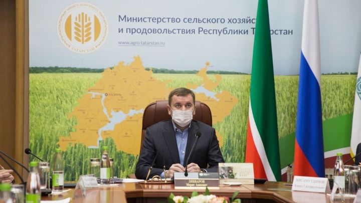 Марат Зяббаров провёл заседание по недопущению распространения АЧС на территории РТ