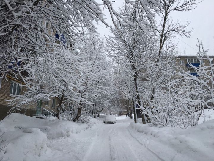 26 февраля в Бугульме прогнозируется метель, на дорогах сильная гололедица