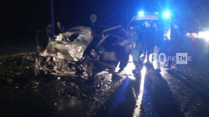 В Альметьевском районе три человека погибли в лобовом столкновении автомобилей