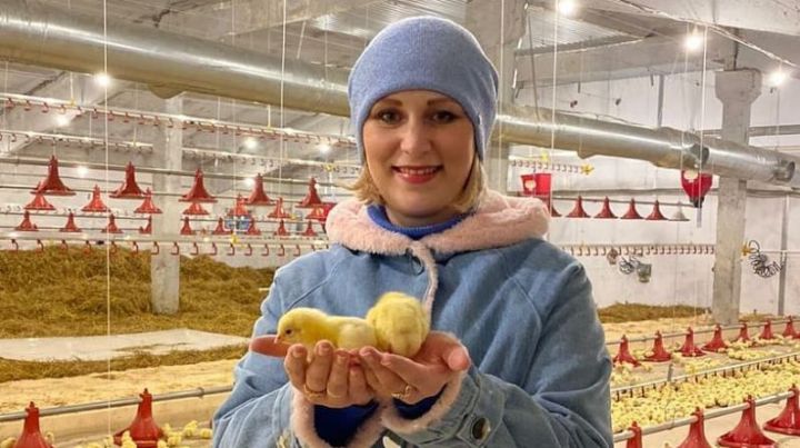 В крестьянско-фермерское хозяйство Бугульминского района завезли первую партию цыплят