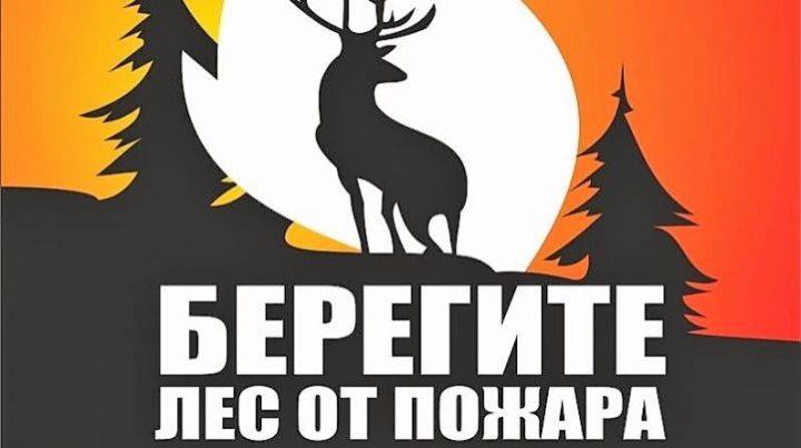 Татарстан завершил подготовку к пожароопасному сезону в лесах