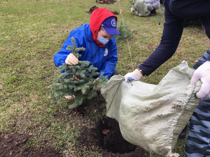 Бөгелмә балалар паркында «Урман утырту көне» үткәрелде.